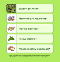 Gut Flavor Set: 24 Pack