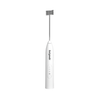 Electric Whisk