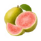 Guava Fresca