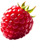 Raspberry Rush